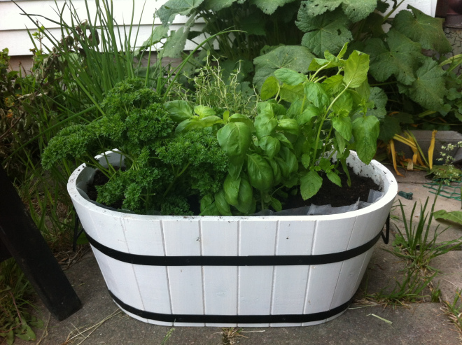 20120528-200157.jpg