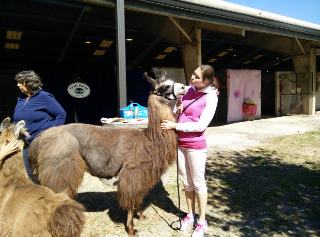 wpid-img_20150213_121252.jpg